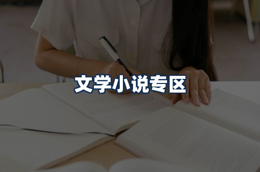 文学小说PDF展示